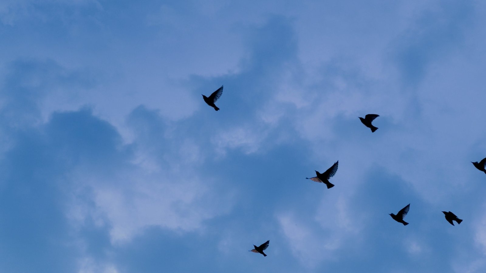 Home img 0085.00 00 11 22.still003